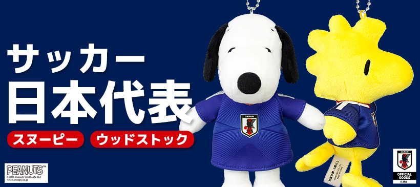 サッカー日本代表