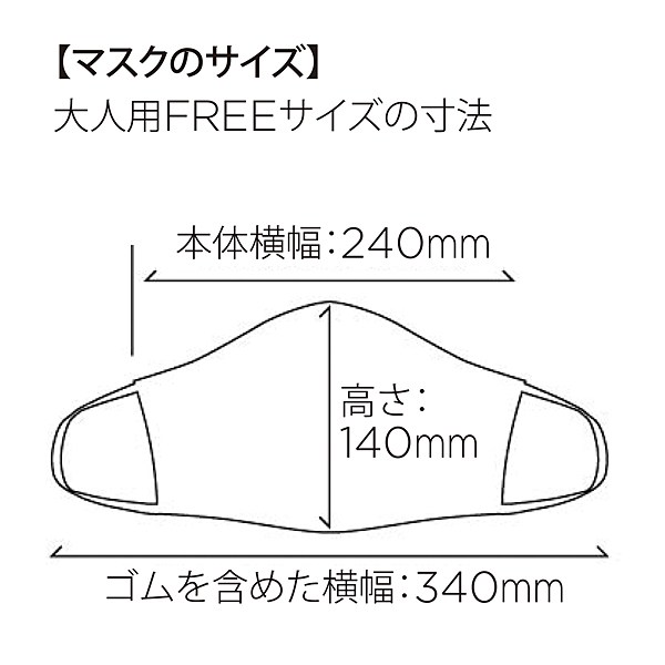 パールイズミ 布マスク ホワイト MSK-01