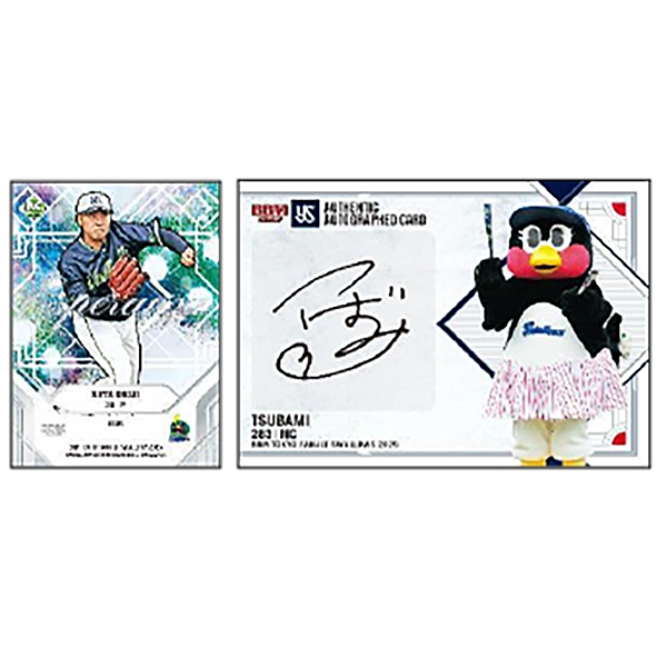 BBM 東京ヤクルトスワローズ ベースボールカード2026 BOX