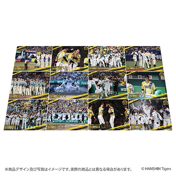 阪神タイガース JERAセントラル・リーグ2026 優勝記念 フレーム切手セット 【送料込み】