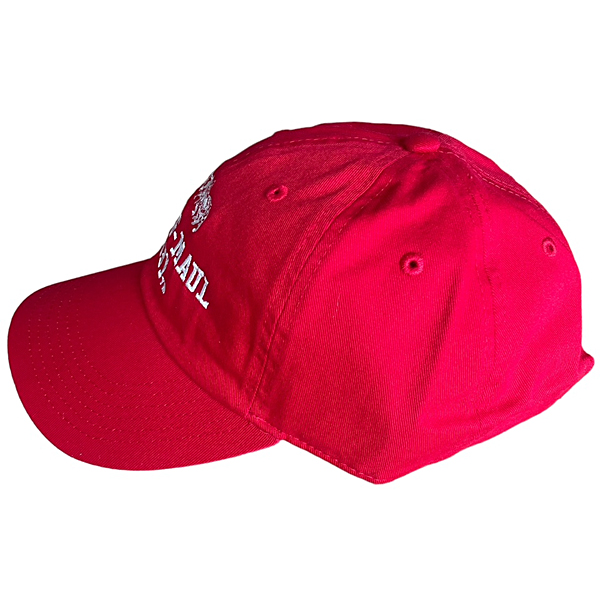 DRIVING-MAUL RUGBY(TM) TWILL BB CAP