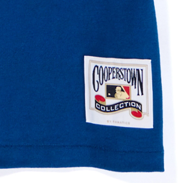 Champion × MLB Tシャツ ヴィンテージ ニューヨーク・メッツ
